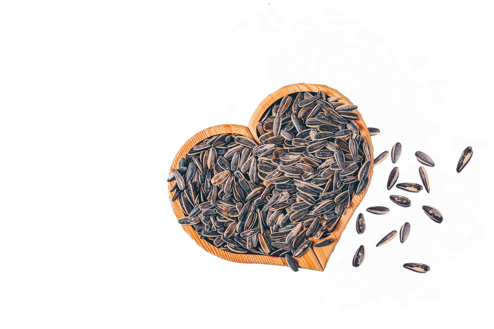 SunPC® is an active Phosphatidylcholine constituent from Sunflowers. Phosphatidylcholine (PC) is a class of phospholipids that makes an important neurotransmitter called acetylcholine. It plays a role in memory, movement and metabolism and reduces fat deposits in the liver and under the skin.